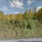 12945 S Lewis Loop, Wasilla, AK 99654 ID:12333746