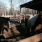 4524 E Starwood Drive, Wasilla, AK 99654 ID:12234134