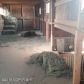 4524 E Starwood Drive, Wasilla, AK 99654 ID:12234136