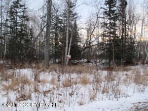 4881 N Huey Lane, Wasilla, AK 99654