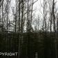 1460 W Ridgeview Drive, Wasilla, AK 99654 ID:12336203