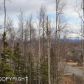 6655 S Settlers Bay Drive, Wasilla, AK 99654 ID:12336217