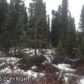 4797 S Dollar Road, Big Lake, AK 99652 ID:12573436