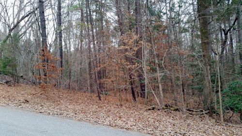 Lot 8 Country Blvd., Bracey, VA 23919