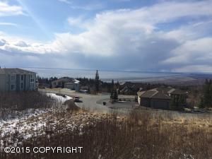 L31 B3 Prominence Point, Anchorage, AK 99516