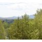 952 Spruce Circle, Mineral Bluff, GA 30559 ID:12617388