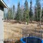 8209 W Lost Valley Road, Wasilla, AK 99654 ID:12395701