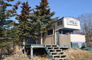 41825 Charlie Drive, Homer, AK 99603