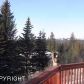 2585 Sprucewood Drive, Homer, AK 99603 ID:12162169