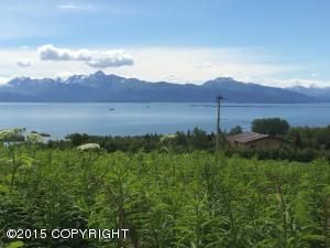 59105 Newman Court, Homer, AK 99603