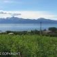 59105 Newman Court, Homer, AK 99603 ID:12618023