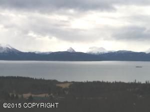 57670 Glacierview Road, Homer, AK 99603