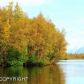 1101 N Northshore Drive, Wasilla, AK 99654 ID:12627435