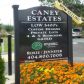 3165 Caney Estates Place, Cumming, GA 30041 ID:12232747