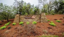 223 Woods Circle Ball Ground, GA 30107