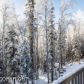 20924 Trailhead Avenue, Eagle River, AK 99577 ID:12029601