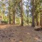 6821 Kings Row Dr, Grizzly Flats, CA 95636 ID:12603714