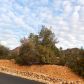 2229 Lichen Ridge, Prescott, AZ 86303 ID:12586646