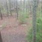 1219 Miller Cove Rd, Signal Mountain, TN 37377 ID:12579397