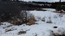 471 Cozy Cove Drive Homer, AK 99603