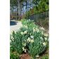 6615 Tulip Plantation Road, Alpharetta, GA 30004 ID:12206109