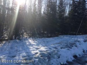 L53 Old Cranberry Drive, Chugiak, AK 99567