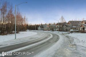 L16 B1A Easter Island Circle, Anchorage, AK 99515