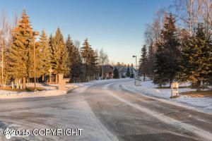 L9 B1A Easter Island Circle, Anchorage, AK 99515