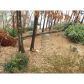 9285 Brumbelow Crossing Way, Alpharetta, GA 30022 ID:12712494