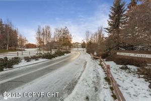 L20 B1A Easter Island Circle, Anchorage, AK 99515