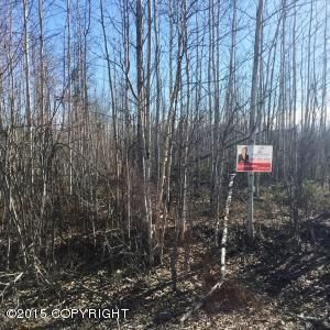 2669 S Walnut Wood Drive, Big Lake, AK 99652