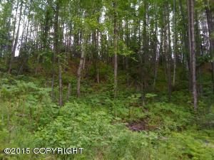 18435 W Jenny Lane, Big Lake, AK 99652