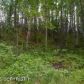 18435 W Jenny Lane, Big Lake, AK 99652 ID:12390019