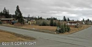 L6 Lee Drive, Homer, AK 99603