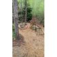 155 Kilough Ridge Drive, Dawsonville, GA 30534 ID:12726133