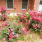 5528 Charmaine Bend, Norcross, GA 30071 ID:12738843