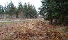 5501 Clearwater Drive Homer, AK 99603