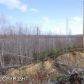 15712 W Beaver Tail Drive, Big Lake, AK 99652 ID:12571741