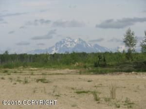 15628 W Millers Reach Road, Big Lake, AK 99652