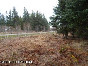 5501 Clearwater Drive, Homer, AK 99603