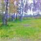 1131 N Northshore Drive, Wasilla, AK 99654 ID:12628005