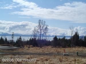 3885 Mullikan Street, Homer, AK 99603