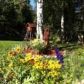 351 E Spruce Avenue, Wasilla, AK 99654 ID:12643226