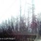 6800 W Sunset Avenue, Big Lake, AK 99652 ID:12302250