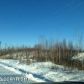 14317 W Cozy Ridge Road, Big Lake, AK 99652 ID:11854267