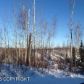 14317 W Cozy Ridge Road, Big Lake, AK 99652 ID:11854268