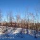 14317 W Cozy Ridge Road, Big Lake, AK 99652 ID:11854269