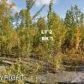 11613 W Wasey Way, Big Lake, AK 99652 ID:11963390