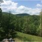 1533 Old Bucktown Road, Ellijay, GA 30536 ID:12761854