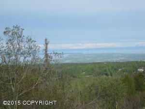 L1 B1 Canyon Road, Anchorage, AK 99516